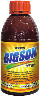 Bigson 207 SL
