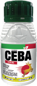 Ceba 125 EC