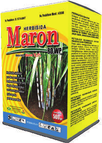 Maron 80 WP