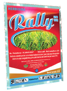Rally 20 WG