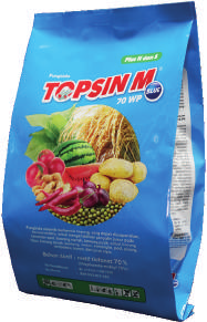 Topsin M 70 WP Blue
